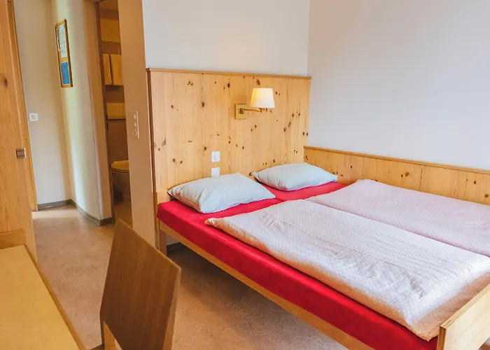 旅馆 达沃斯青年旅舍 *