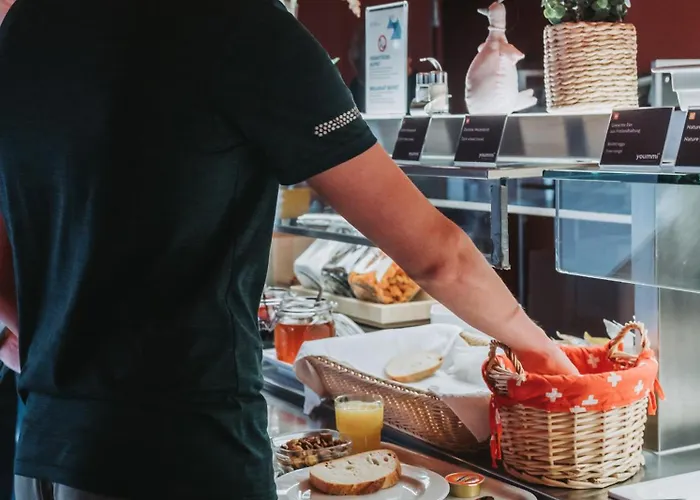 达沃斯青年旅舍 旅馆 *